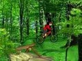 Mountain Bike խաղալ օնլայն