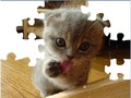 Cute Cat Puzzle խաղալ օնլայն