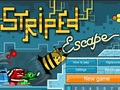 Bee Escape խաղալ օնլայն