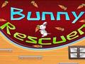 Bunny Rescuer խաղալ օնլայն