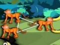 Ծածուկ Monkeys խաղալ օնլայն