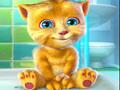 Talking cat Ginger խաղալ օնլայն