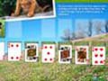 Animal Planet Solitaire խաղալ օնլայն